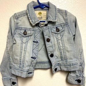 Tucker nTate denim stripe crop jacket !!